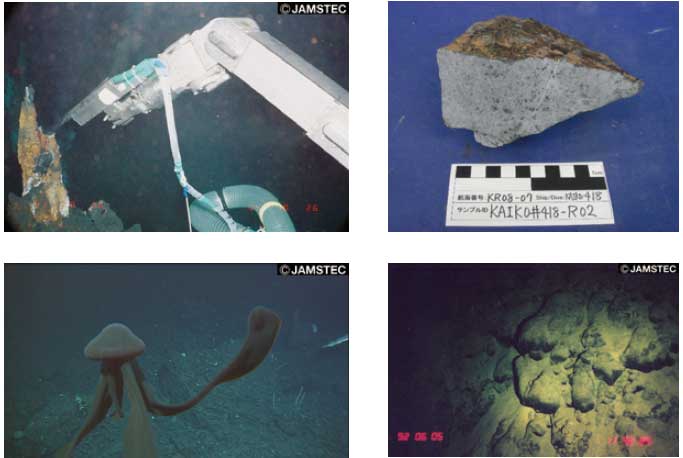 データ公開サイトからは観測データだけでなく、画像やサンプルの検索も可能