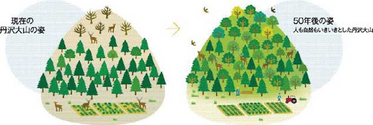 丹沢大山自然再生計画の目標図