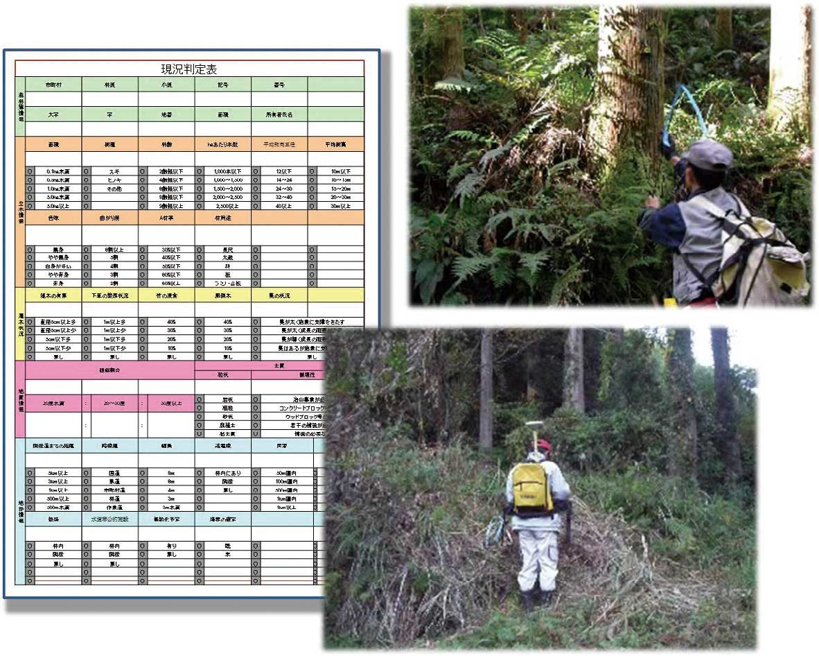 チェックシート（左）と境界測量の様子（右）
