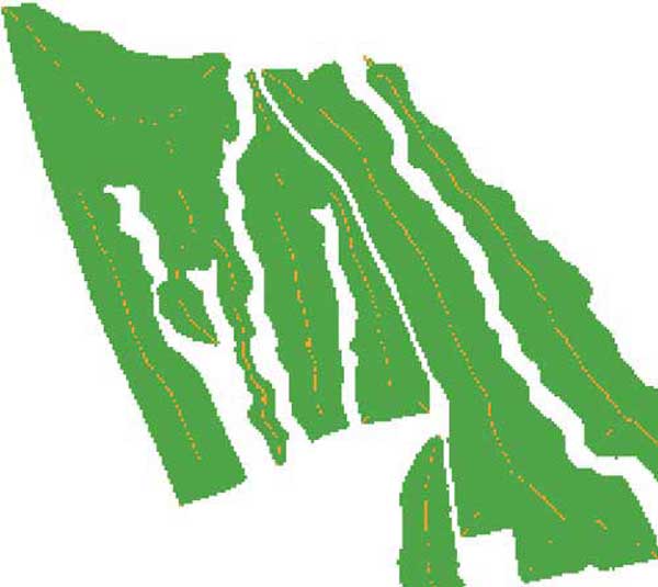 図3: ある土地利用のラスタデータ(緑)と
モデルビルダで作成したツールで描いた
MATのセル(オレンジ)