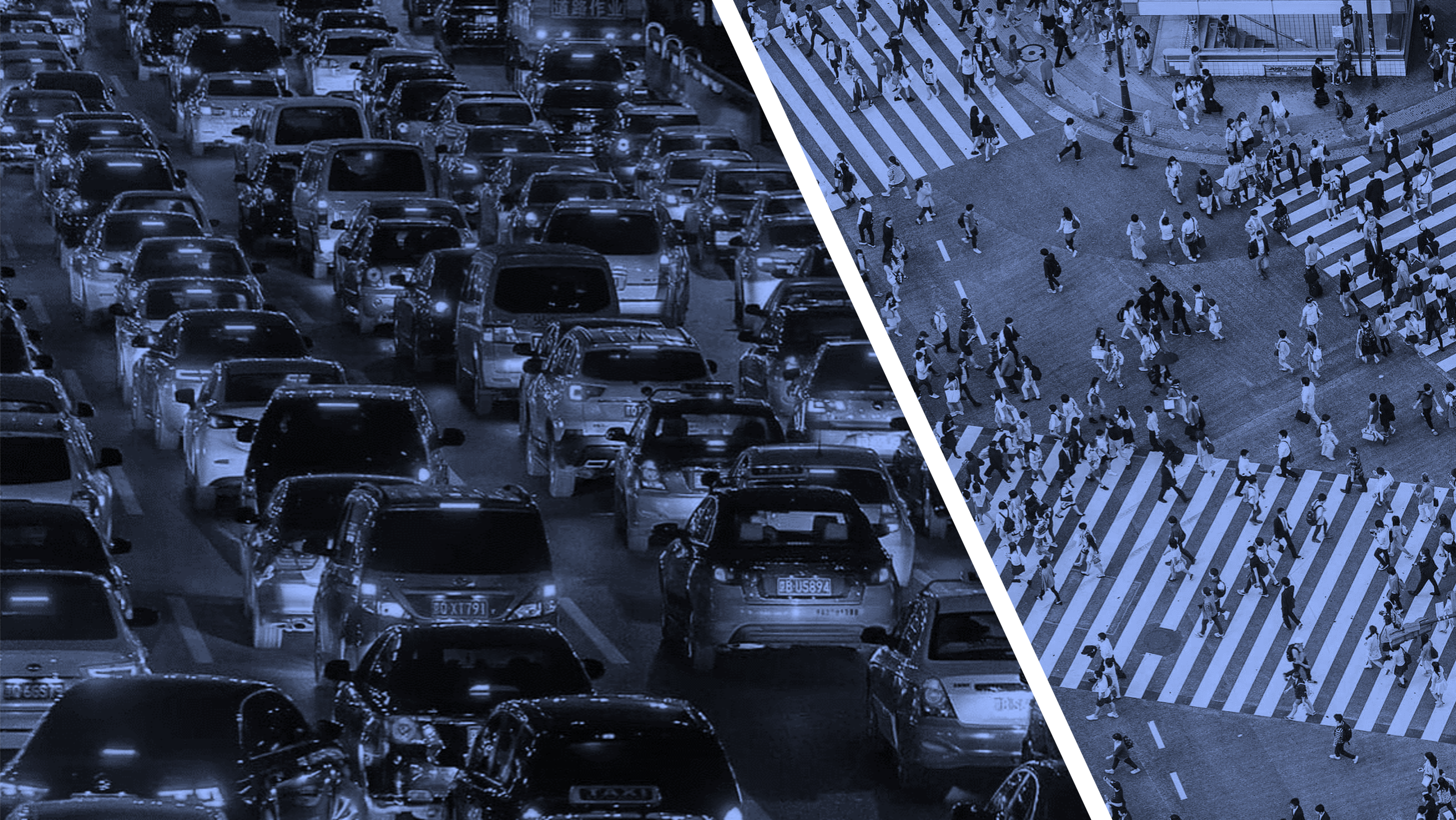 地域・マーケット分析