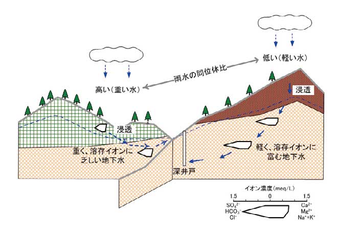 地下水の同位体や溶存イオン
