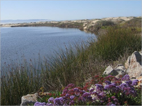 内挿を使用した水質のモデリングのイメージ