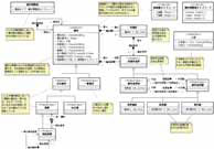 作成した応用スキーマ(抜粋)