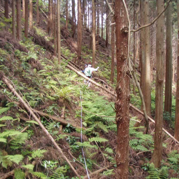 現場での作業風景