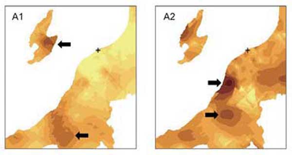 他病院へ逆紹介した患者の集積と、在院回数が長い患者の集積。逆紹介された
MDC05(循環器疾患)患者の集積(AL矢印)と、LOSSOS(標準化在院回数)が高値であった
患者の集積(A2、矢印)を、患者個票データからnormal kriging処理して図示したもの