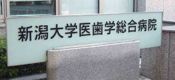 これからの取組み