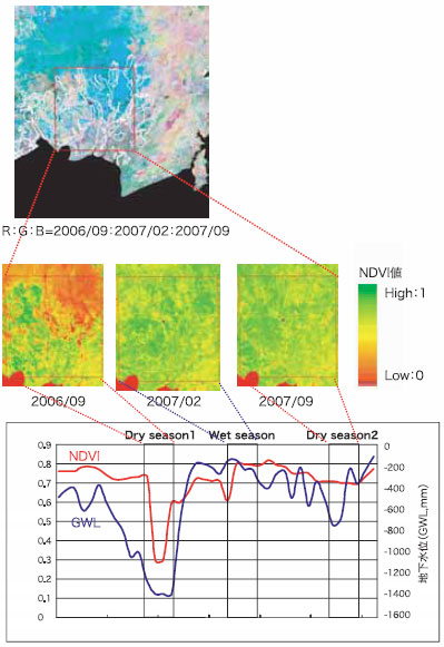 2006年4月～2007年12月の地下水位と植生指数変動の関係
地価水位観測地点：中央カリマンタン Kalamapangan 火災跡地
