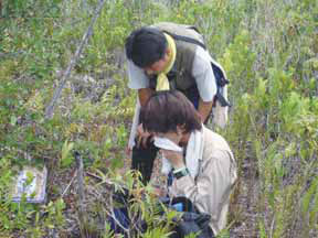 フィールドワークに励む様子