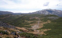 雪田草原が広がる雲ノ平の様子
