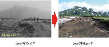 植生荒廃の様子（日本庭園）