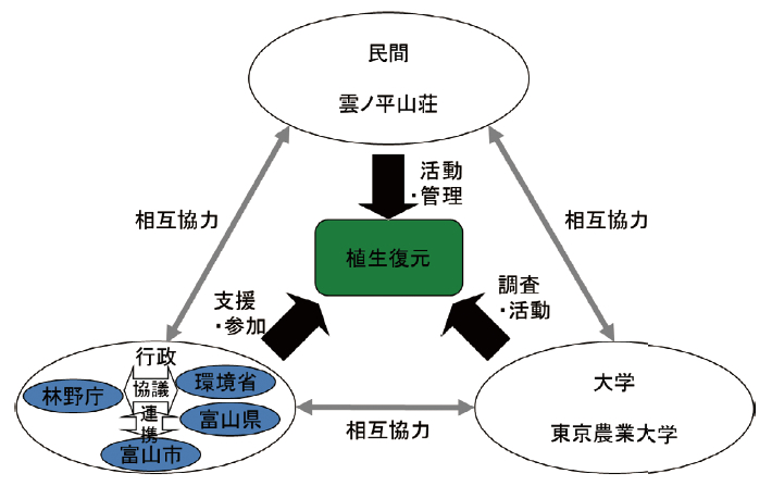 雲ノ平における植生復元活動の協力体制
