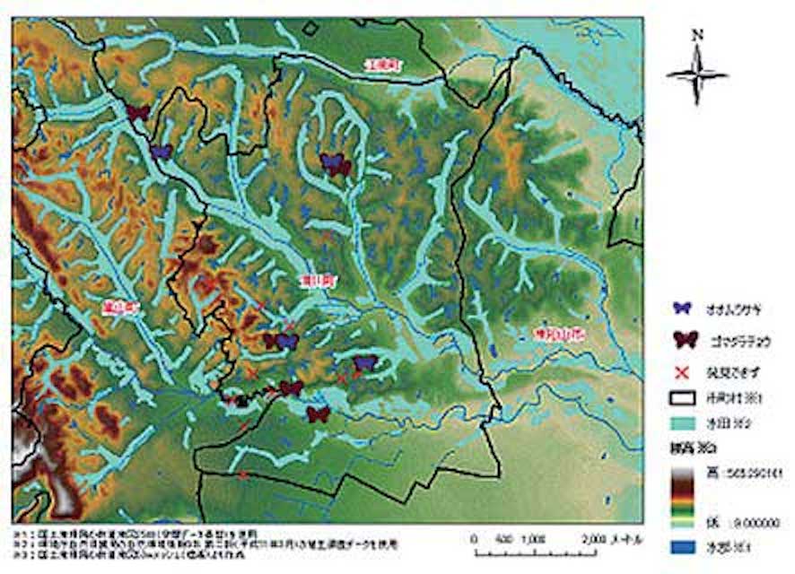 オオムラサキの調査と環境教育