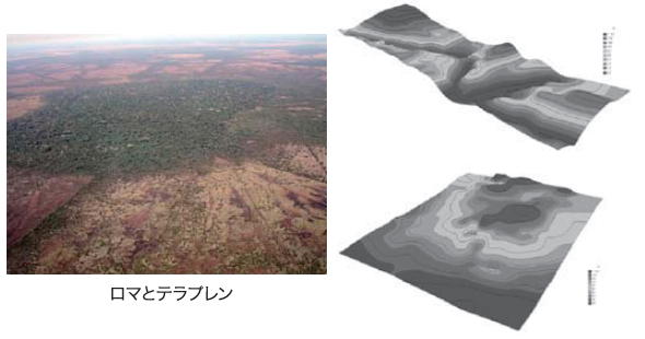 ロマとテラブレン