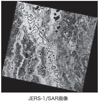 JERS-1/SAR画像