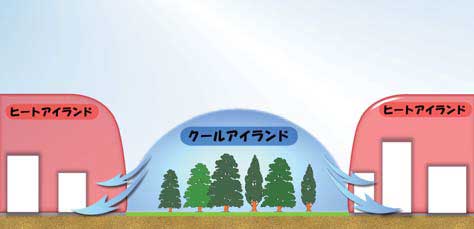 埼玉県の抱える問題