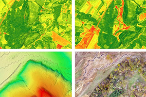 ArcGIS Image for ArcGIS Online で天然資源の迅速なモニタリング