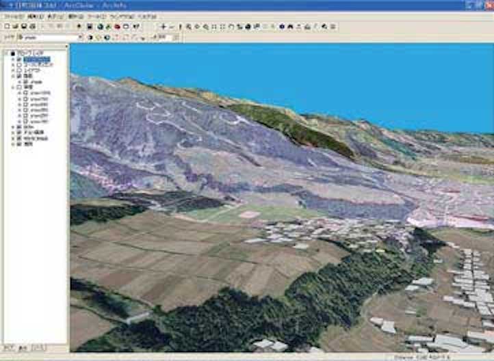十日町市鳥敵図