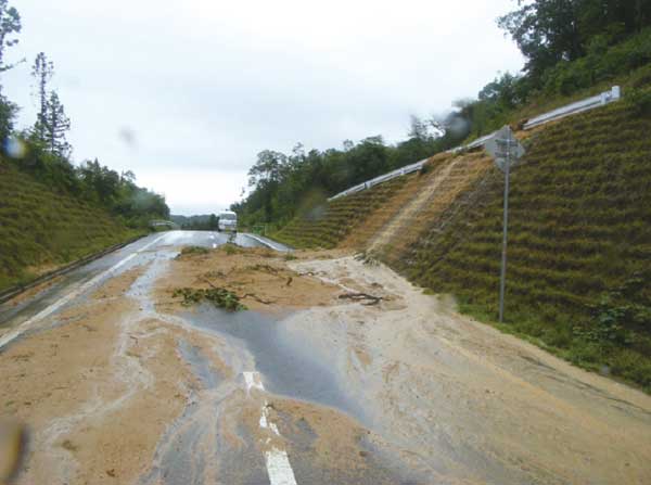 豪雨により土砂が流れ込んだ道路。
集合住宅地区は多めに植樹がされている。
