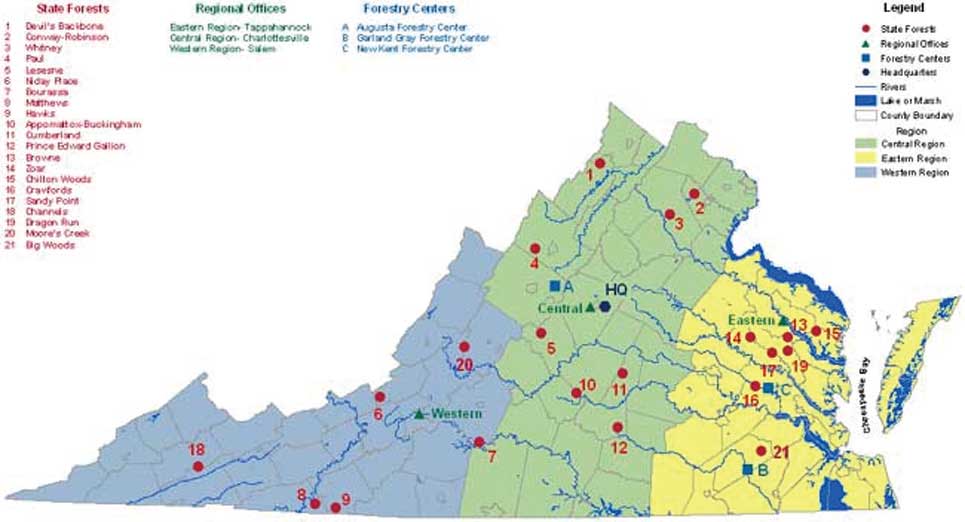 バージニア州には21の州有林がある。州森林局は州を3つの地域にわけ、各地域に分署および林務官を置いている。林務官は州有林だけでなく、州内の私有林の調査や森林保護、保全に関する助言なども行う。