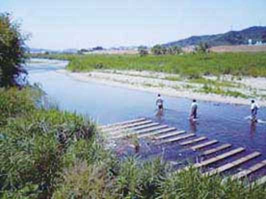 河川水質調査風景