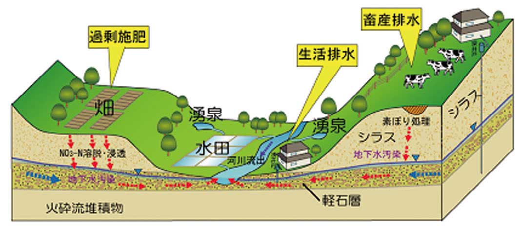 地下水の硝酸性窒素汚染機構