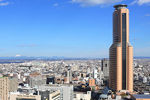 災害発生時における災害情報の迅速な把握と適切な意思決定を支援する防災情報システム