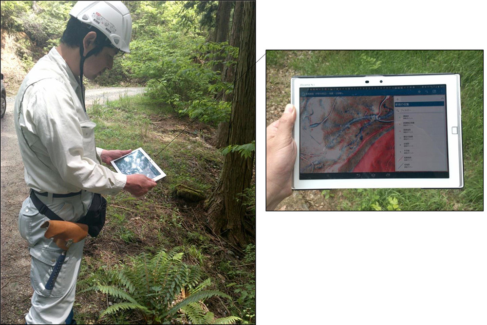 Collector for ArcGISを活用（Andoroidタブレット）