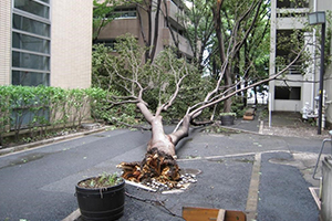 熱環境と風況解析による環境計画手法の確立を ArcGIS と Airflow Analyst で目指す