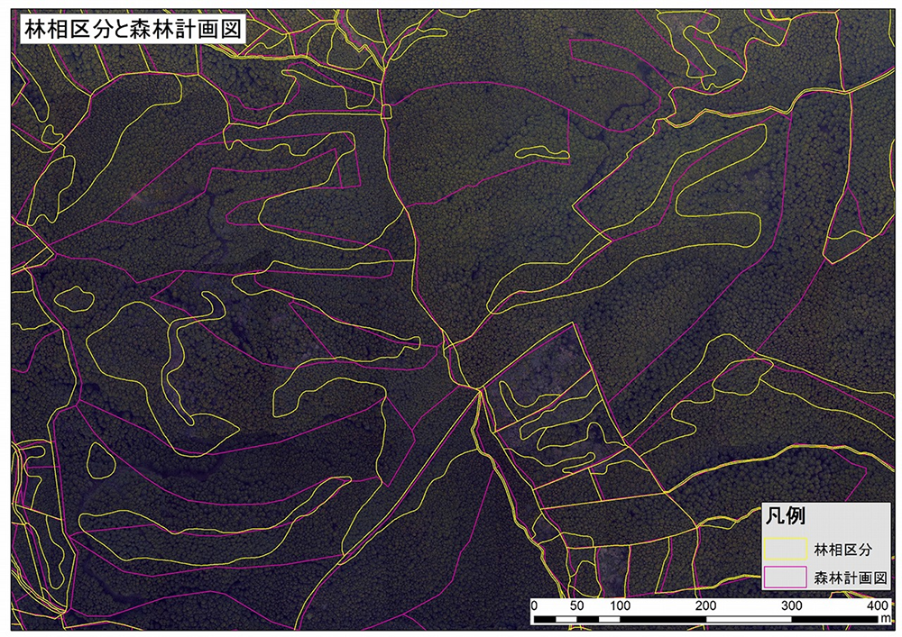 林相区分図