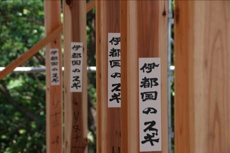 天然乾燥材「伊都国のスギ」