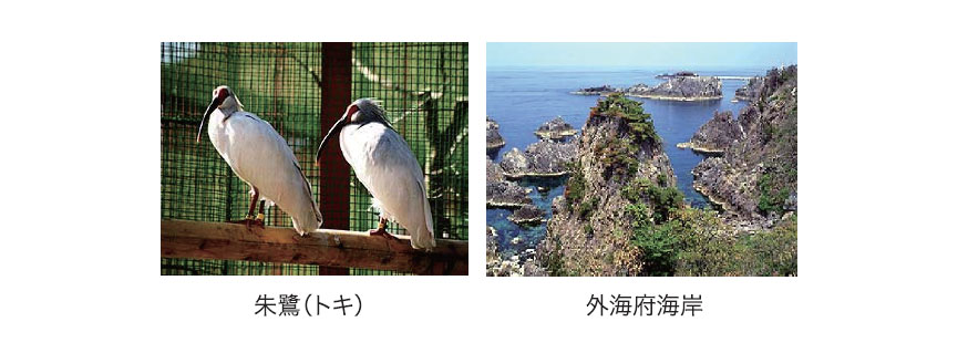 佐渡観光Navi～ときめき佐渡～