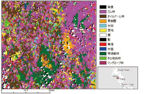 プランテーション系バイオマスの分類結果オブジェクト指向による分類結果
(2004.3.20画像)