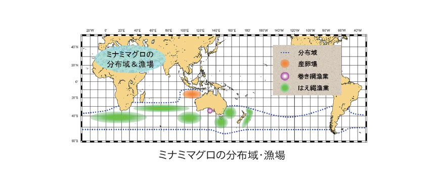 ミナミマグロの分布域・漁場