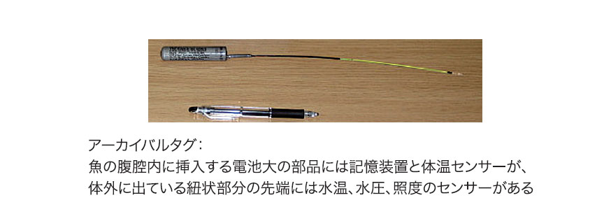 アーカイバルタグ