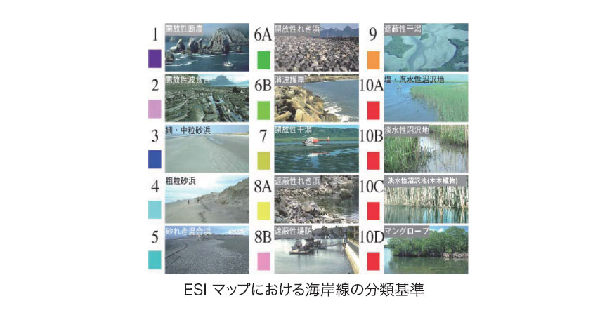 ESIマップにおける海岸線の分類基準