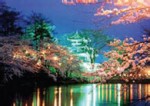 新潟県上越市 高田公園の夜桜は日本三大夜桜に数えられ、ライトアップ された三重櫓は見どころの一つ。