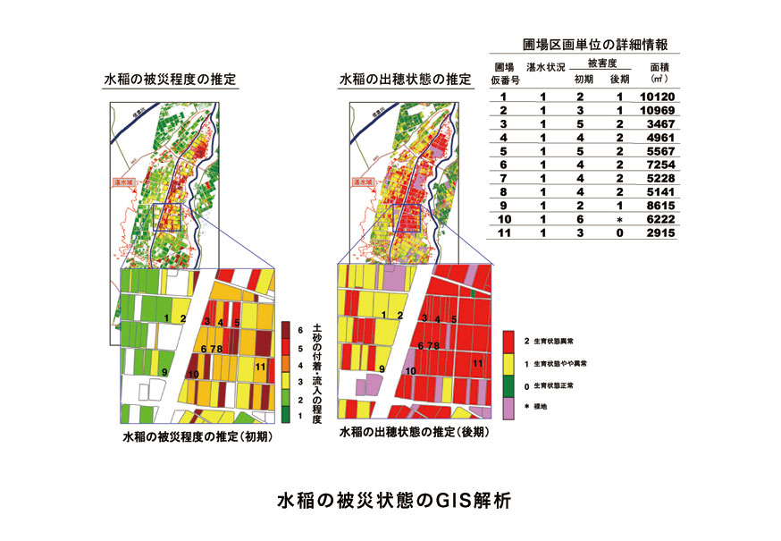 水稲の被災状態のGIS解析