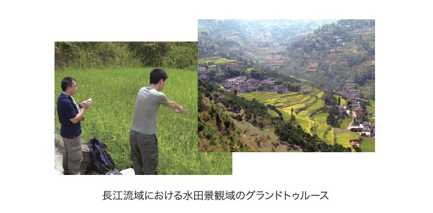 長江流域の土地被覆解析