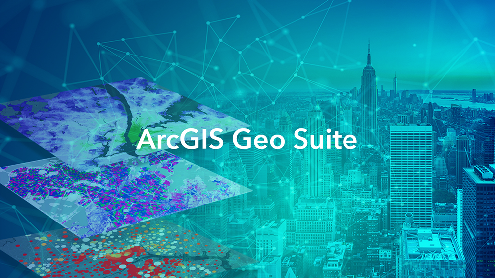 ArcGIS Geo Suite 地形