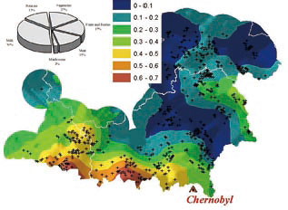 チェルノブイリ原子力発電所事故の影響解析 | ESRIジャパン株式会社