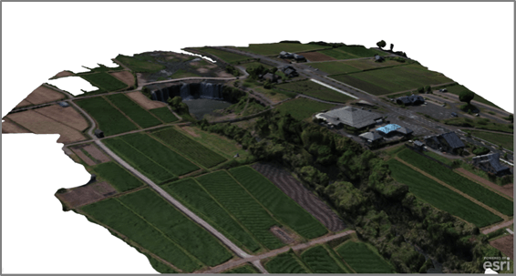 ドローンで取得された画像から生成された 3D データ （※）