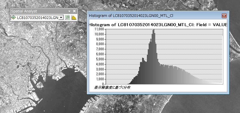 （１） 衛星画像の前処理