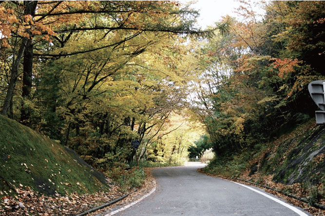 荷路夫の豊かな自然(国道289)
