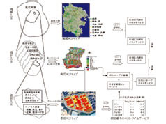 図１　エコマッピングと
エコシステムサービスの評価方法