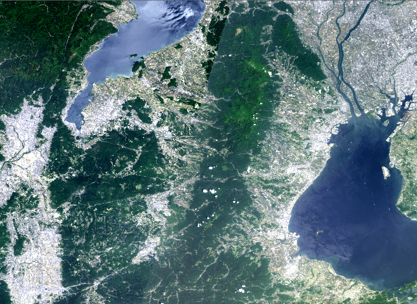 ドッジング(単一色)