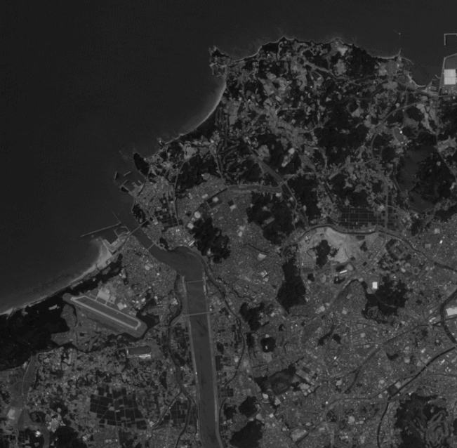 パンクロマティック画像