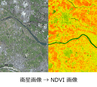 衛生画像→NDVI画像