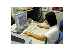 Stereo Analystによる判読作業風景