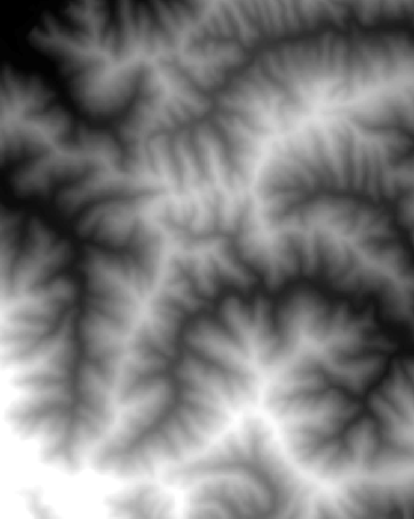 標高サーフェス